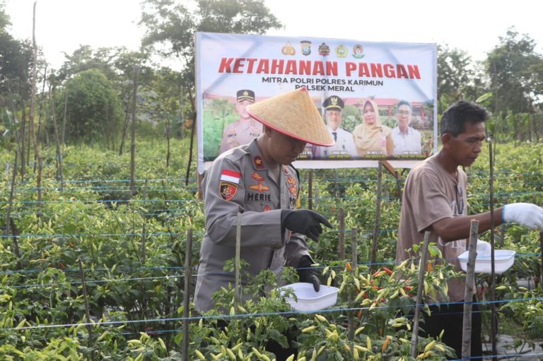 WhatsApp Image 2024-11-06 at 13.16.04_805a61b0