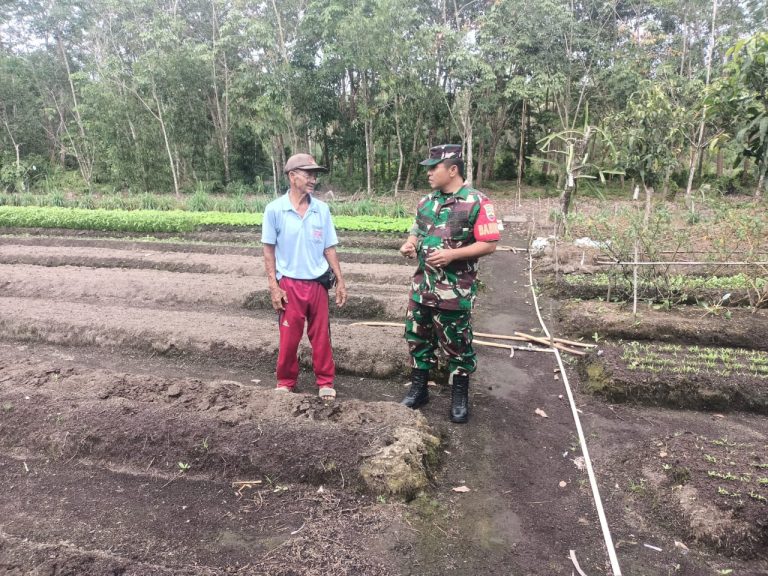 e6e6bdf8-b829-4074-98b5-dd45f8c60873