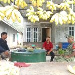 Babinsa Pangke Sambangi Pedagang Buah, Perkuat Kedekatan dengan Warga