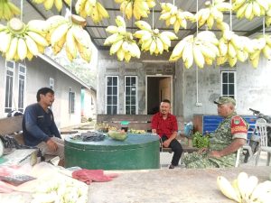 Babinsa Pangke Sambangi Pedagang Buah, Perkuat Kedekatan dengan Warga